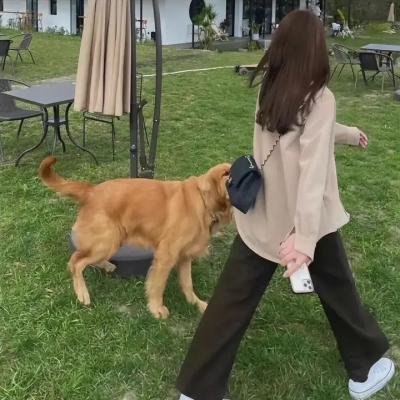爱情万人迷